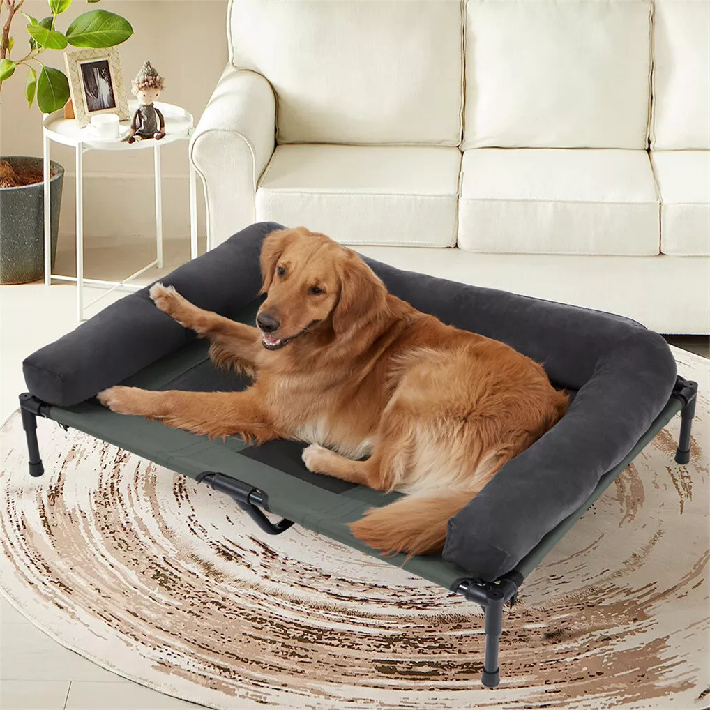 BINGOPAW Elevated Dog Bed Mesh - огляд і ціна Outdoor Camping Dog Bed