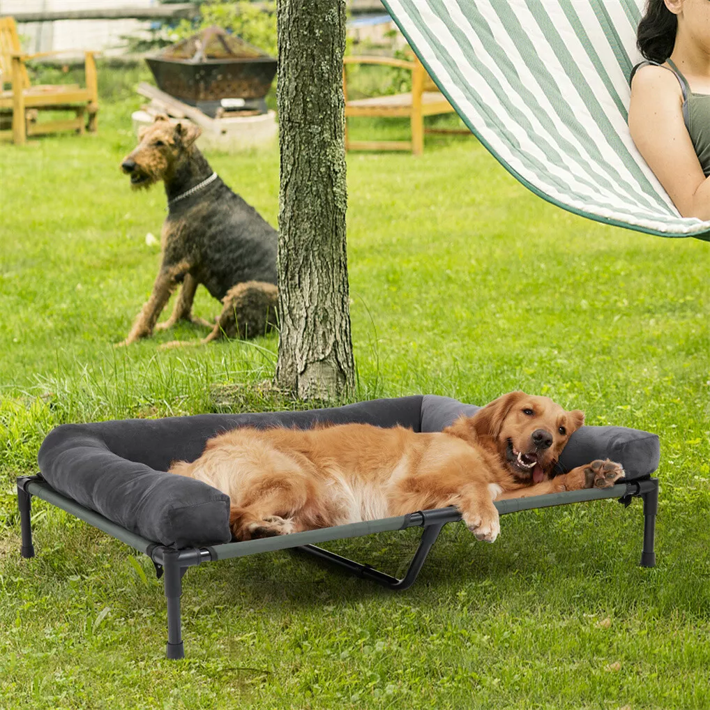 BINGOPAW Elevated Dog Bed Mesh - огляд і ціна Outdoor Camping Dog Bed